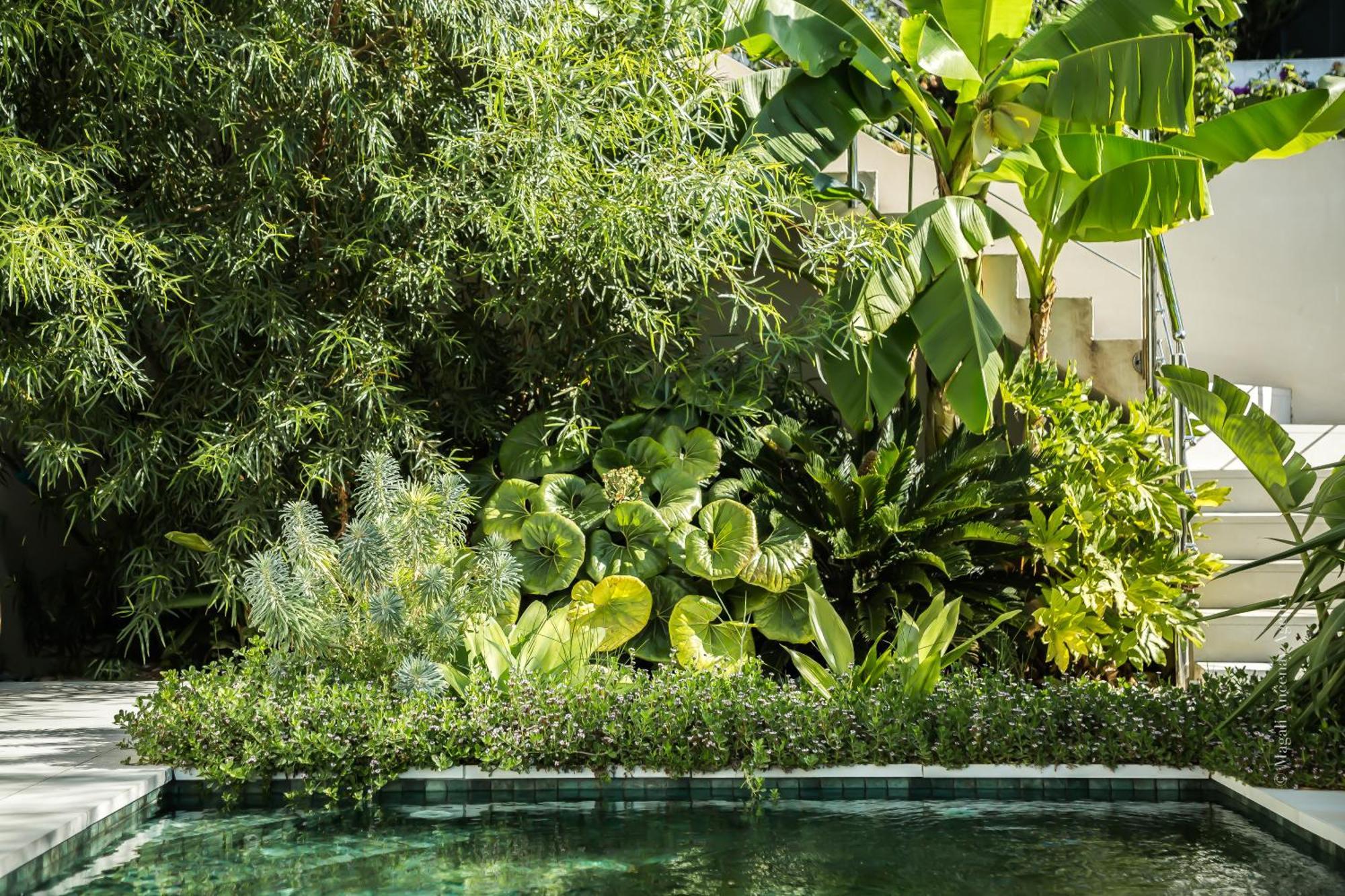 Suites 23 كاسيس المظهر الخارجي الصورة